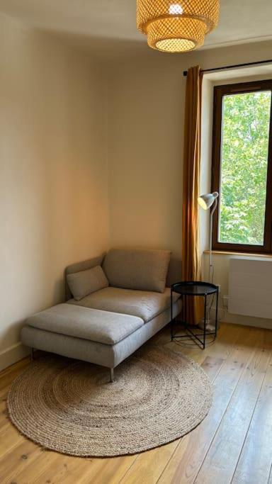 T2 Cocon Avec Balcon Et Parking Apartment La Roche-sur-Foron Bagian luar foto